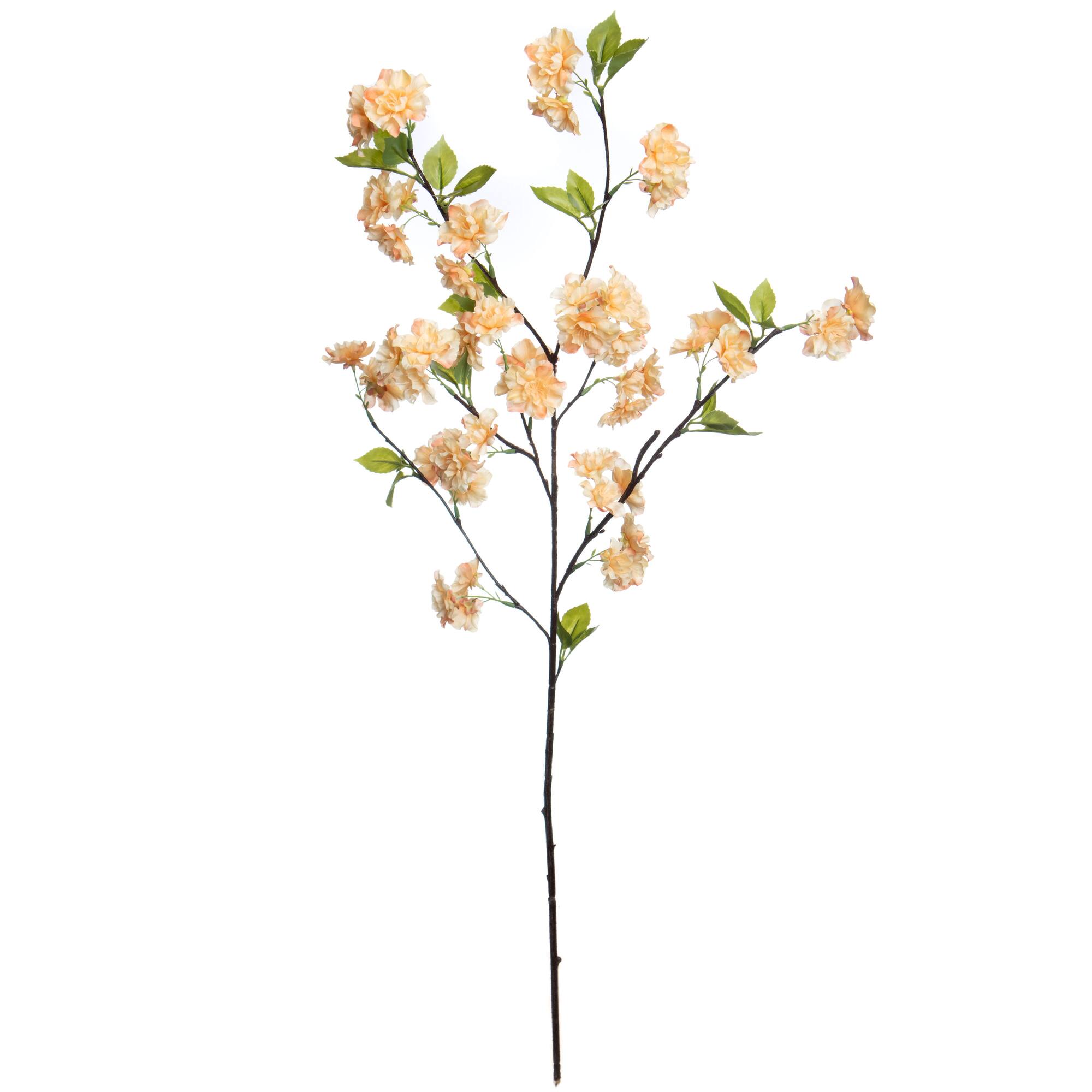 35.5" Cherry Blossom Stem by Ashland